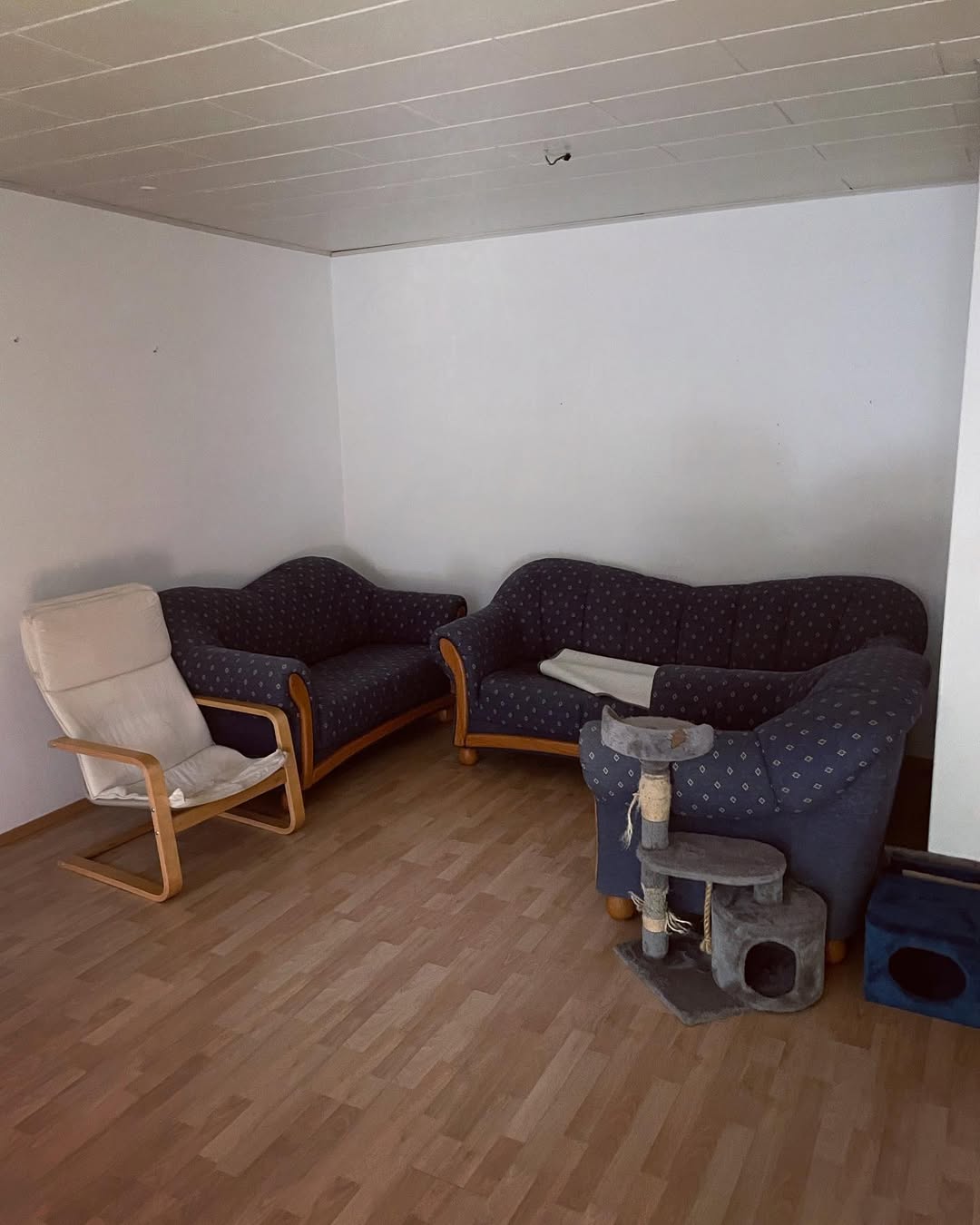 Entrümpelungsservice in Köln beim Ausräumen einer vollgestellten Wohnung